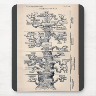 Tree Of Life / Pedigree Of Man Mouse Pad