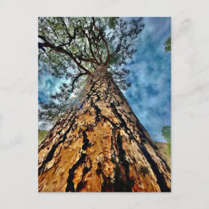 Tree of Life Postcard