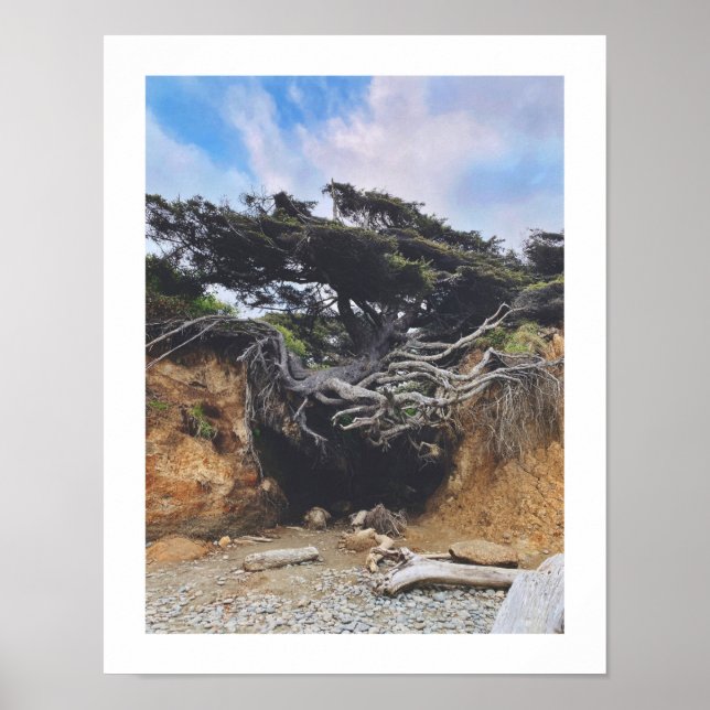 Tree of Life Poster (Front)