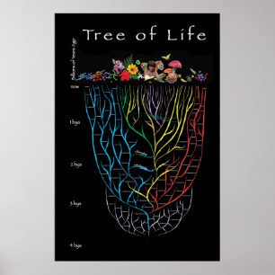 Tree of Life Poster
