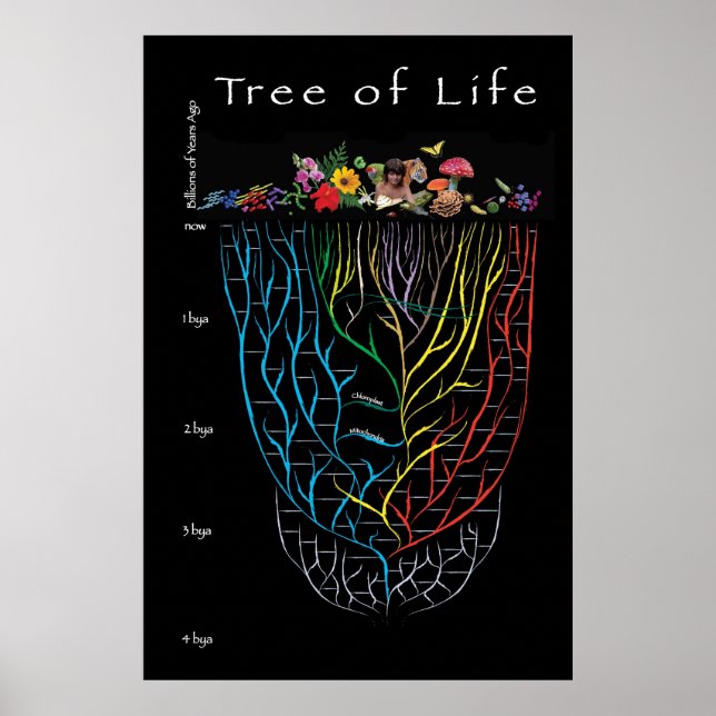 Tree of Life Poster (Front)