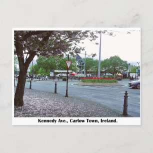 Tree of Life sculpture, Carlow town Ireland Postcard