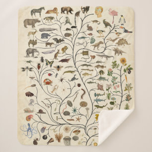 Tree of Life Sherpa Blanket