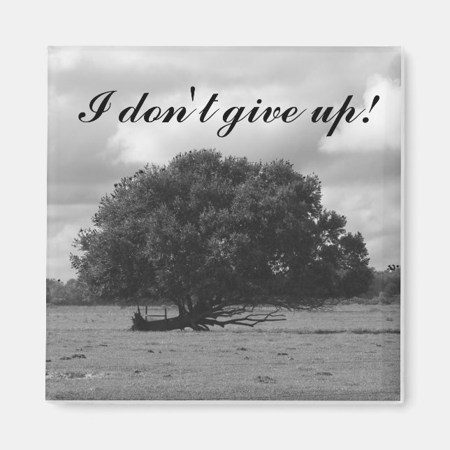 Tree of Life Square Magnet (Front)