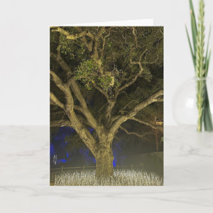 Tree of Light Greeting Card