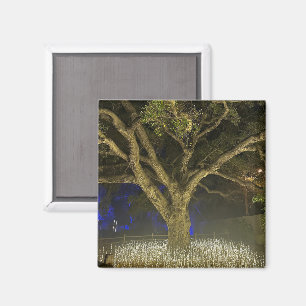 Tree of Lights Magnet