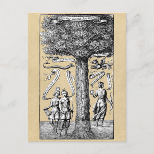 Tree of Opposites United  in Alchemy Postcard