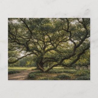 Tree of Southern Life | Live Oak Art | Postcard