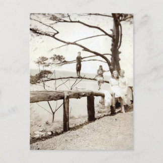 Tree Of The Past Postcard