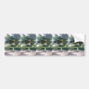 Tree of Wisdom-bumper sticker