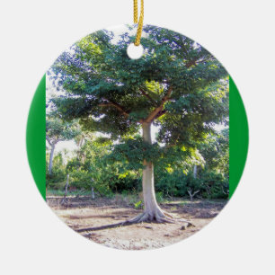 Tree of Wisdom-circle ornament