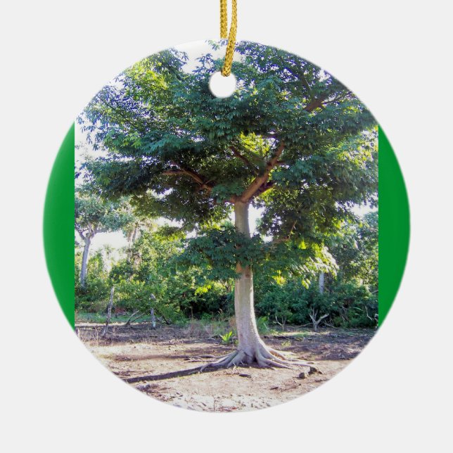 Tree of Wisdom-circle ornament (Front)