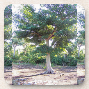 Tree of Wisdom-cork coaster