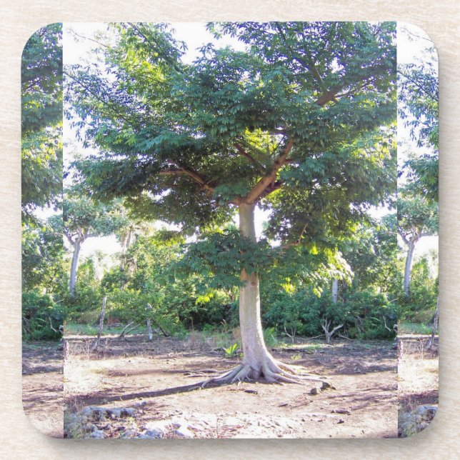 Tree of Wisdom-cork coaster (Front)