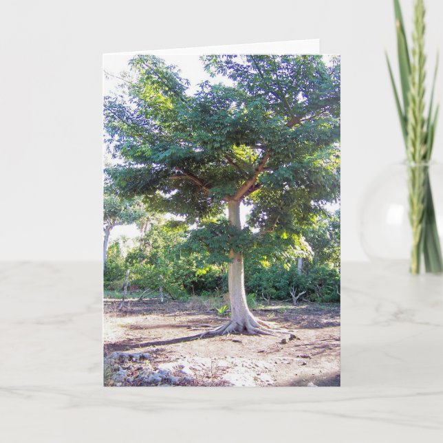 Tree of Wisdom-greeting cards (Front)