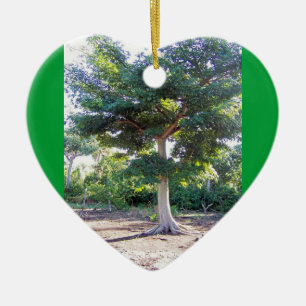 Tree of Wisdom-heart ornament