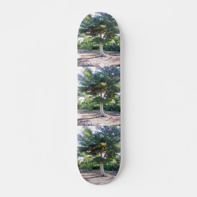 Tree of Wisdom-skateboard Skateboard (Front)