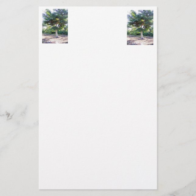 Tree of Wisdom-stationery Stationery (Front)