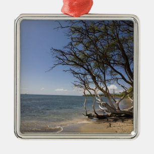 Tree On A Beach Along The Coastline Metal Ornament