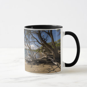 Tree On A Beach Along The Coastline Mug