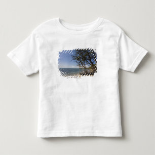 Tree On A Beach Along The Coastline Toddler T-Shirt