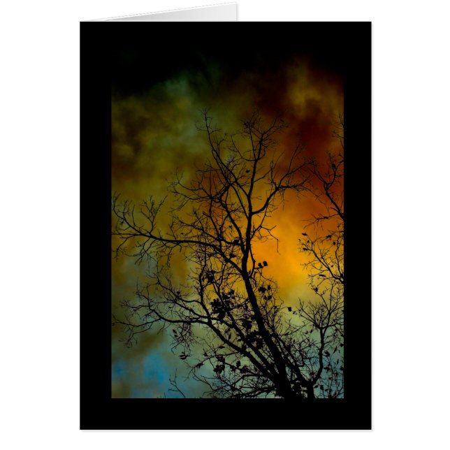 tree on a stormy morning (Front)