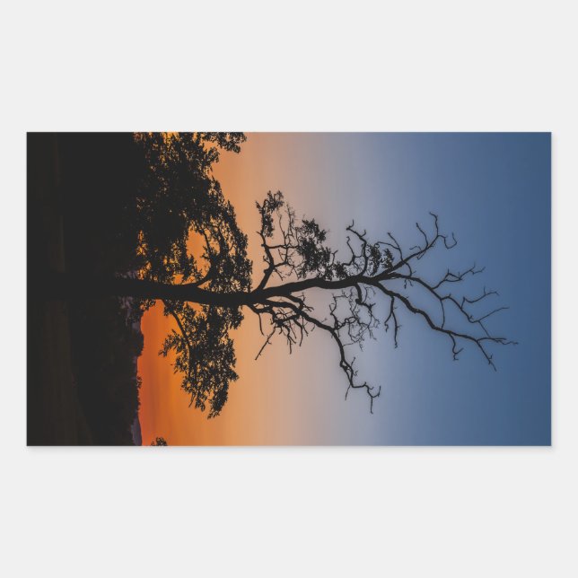 Tree on a sunset background rectangular sticker (Front)