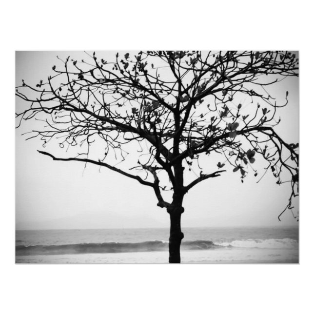 Tree on Beach, Santos, Brazil  Poster (Front)