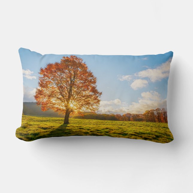 Tree on Fire Lumbar Cushion (Front)