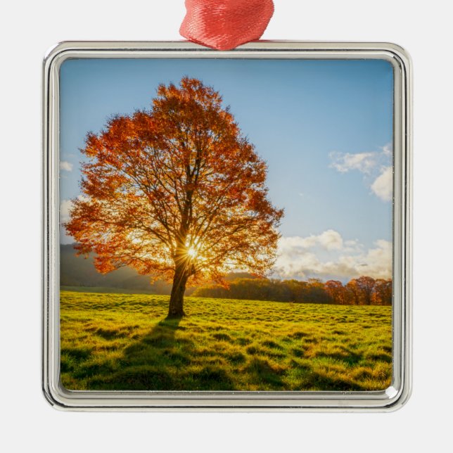 Tree on Fire Metal Ornament (Front)