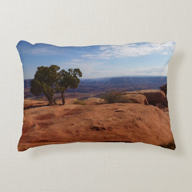 Tree Out of Red Rocks I at Canyonlands Decorative Cushion (Front)