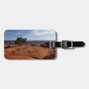 Tree Out of Red Rocks I at Canyonlands Luggage Tag