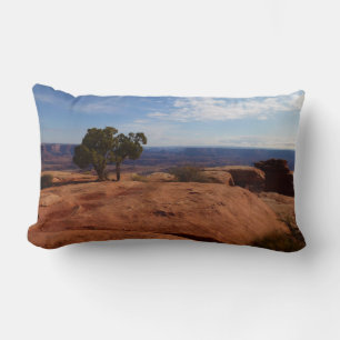 Tree Out of Red Rocks I at Canyonlands Lumbar Cushion