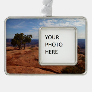 Tree Out of Red Rocks I at Canyonlands Silver Plated Framed Ornament