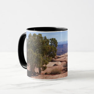 Tree Out of Red Rocks II at Canyonlands Mug