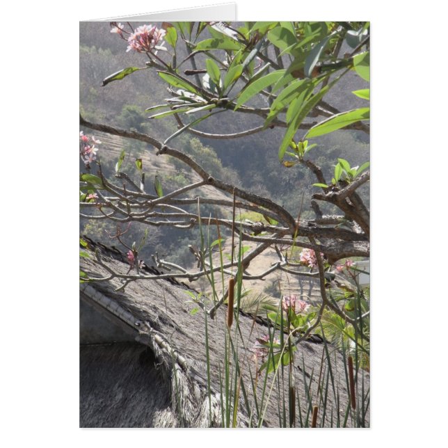 Tree over a thatched roof - Blank Card (Front)