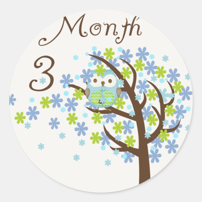 Tree Owl Milestone Month 3 Classic Round Sticker (Front)