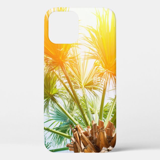 Tree palm bright sun summer background. tropical p Case-Mate iPhone case (Back)