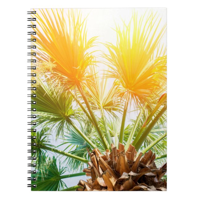 Tree palm bright sun summer background. tropical p notebook (Front)