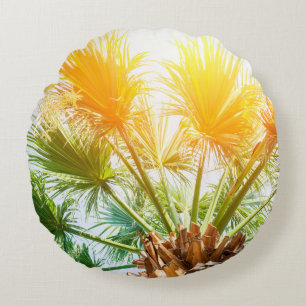 Tree palm bright sun summer background. tropical p round cushion