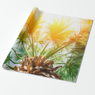 Tree palm bright sun summer background. tropical p wrapping paper