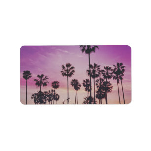 Tree Palm Nature Landscapes Sky Destiny Destiny'S Label