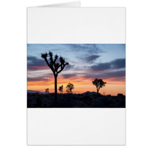 Tree Park Party Personalise Destiny Destiny'S