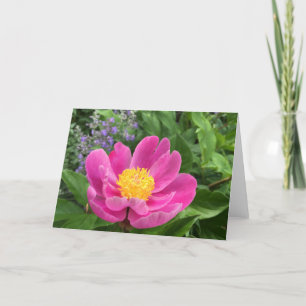 Tree Peony Blank Greeting Card