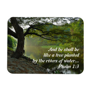 Tree Planted by Water, Psalm 1:3, Scripture Magnet