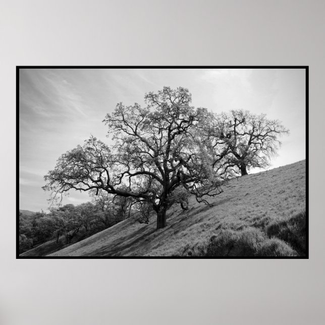 Tree Poetry Print (Front)