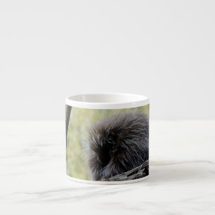 Tree Porcupine Espresso Cup