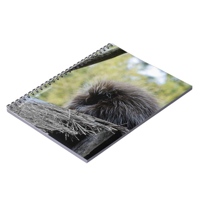 Tree Porcupine Notebook (Left Side)