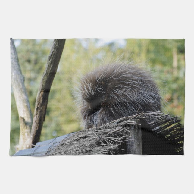 Tree Porcupine Tea Towel (Horizontal)