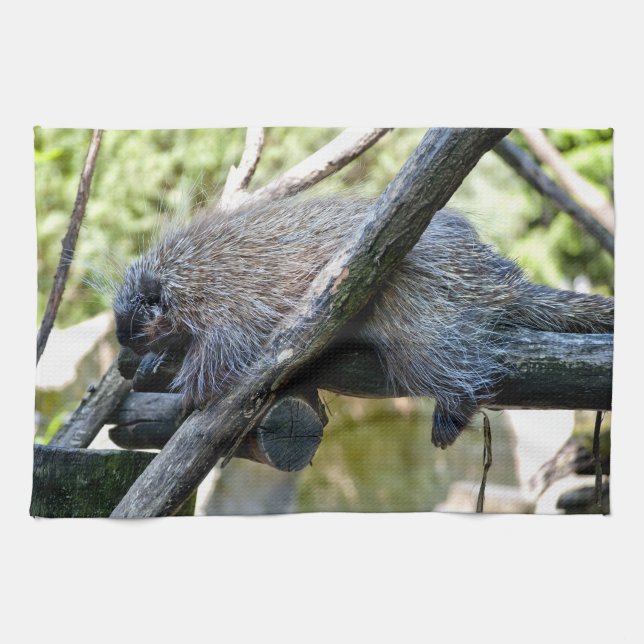 Tree Porcupine Tea Towel (Horizontal)